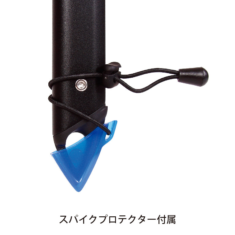 【BLUE ICE】ブラックバード