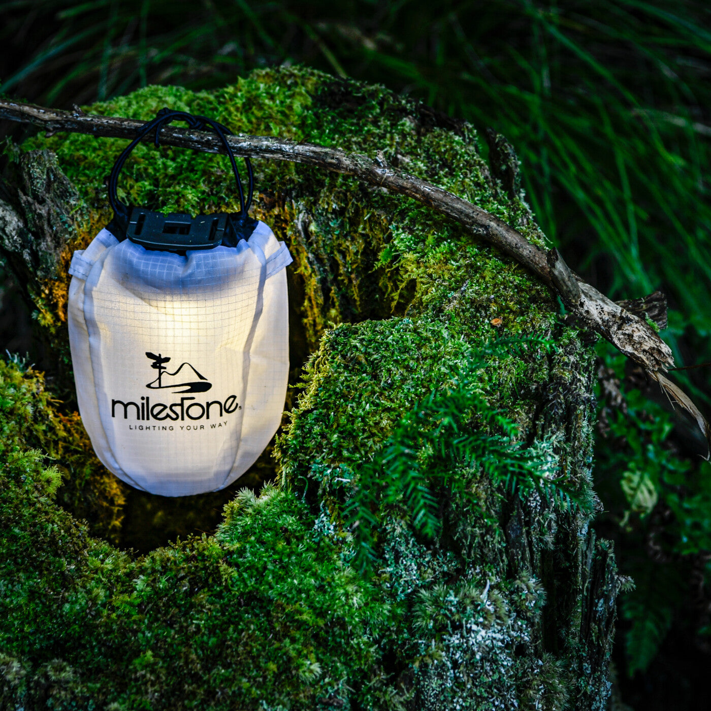 【milestone】lantern shade