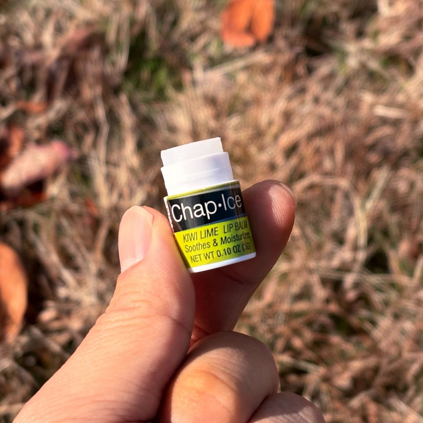 【OraLabs】Chap Ice Mini Lip Balm
