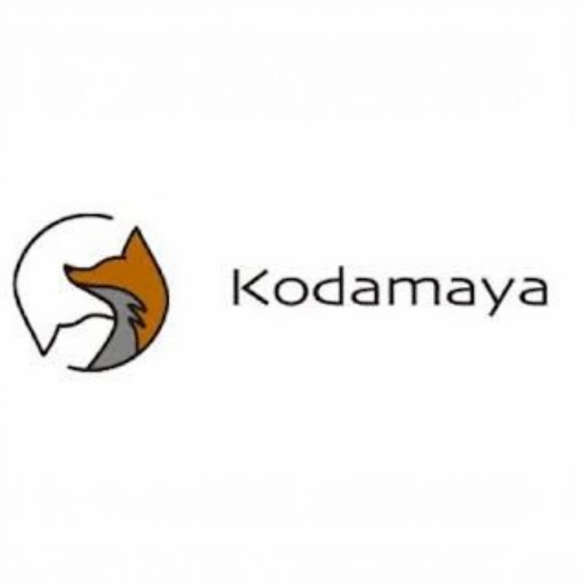 kodamaya