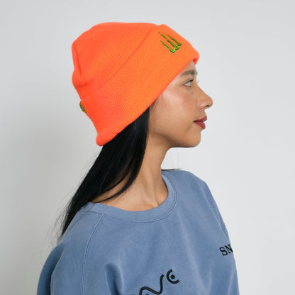 【SAVE SHOCK】MOUNTAIN ENERGY BEANIE
