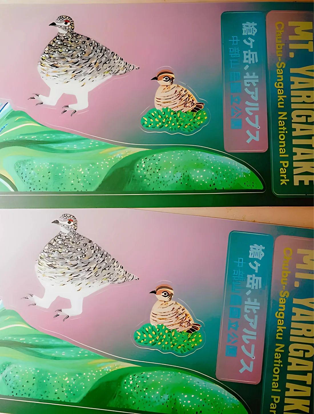 【Hydrascape】Yarigatake Infinity Sticker