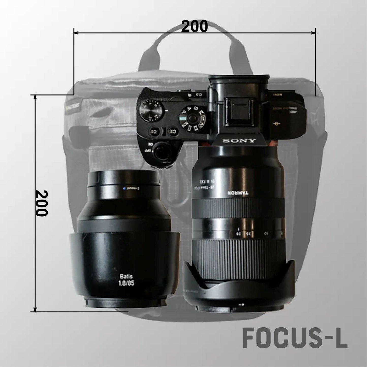 【PAAGOWORKS】FOCUS