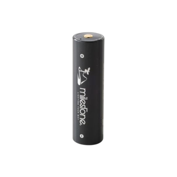 【milestone】MS-LB4 Smart Mobile Battery PRO