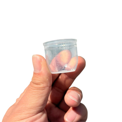 燃料ボトル 60ml